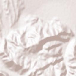 Chong-Alay District Terrain Map