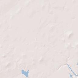 98 Congress Alley, Pana, IL 62557 Terrain Map