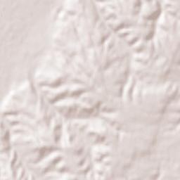 Pinheiro Grande Terrain Map