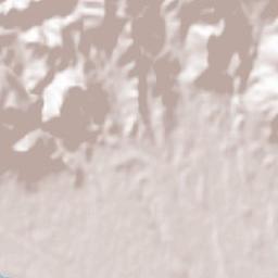 Domusnovas Terrain Map