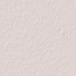 Türkmenabat Terrain Map