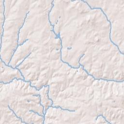313 Park Ave, Broadale Village Shopping Center, Falls Church Terrain Map