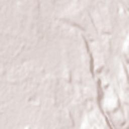 Talas Terrain Map