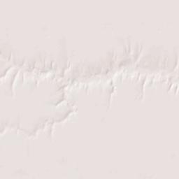 Lane County Terrain Map