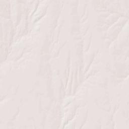 1st Avenue, Windom, KS 67491, USA Terrain Map