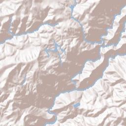 Forest Meadows Terrain Map