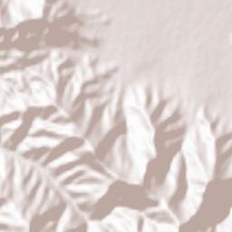Konaklı Terrain Map