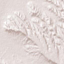 Sahand Terrain Map