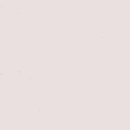 10000-11998 Gunbarrel Road, Center, CO Terrain Map