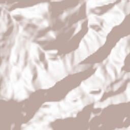 Torres Terrain Map