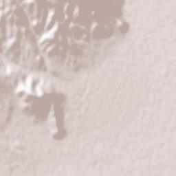 Noshin Terrain Map