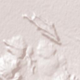 Gogan Terrain Map
