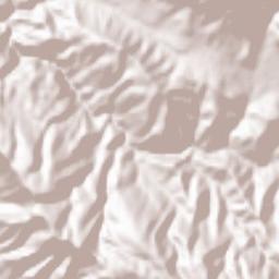Lodi Terrain Map