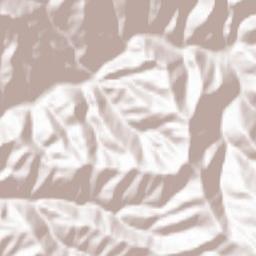 Rāghistān Terrain Map