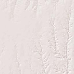 Kinney Street, Bloom, KS 67865, USA Terrain Map