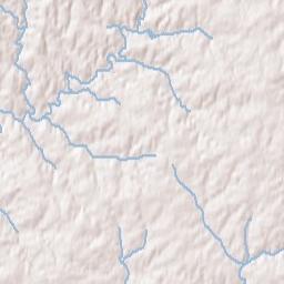 Forest Terrain Map