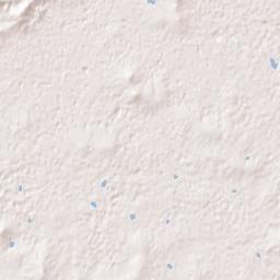 313 N 3rd St Cave City, Kentucky Terrain Map