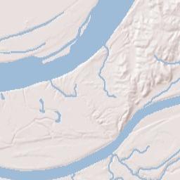 1519 Adair Street Ledbetter KY 42058 Terrain Map