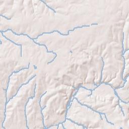 1307-1351 Fremont Road, Ozark, MO 65721 Terrain Map