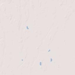 100-198 Gilmore Avenue Miner MO 63801 Terrain Map