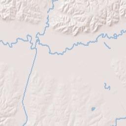 699 New York Rd Wickliffe KY 42087 Terrain Map