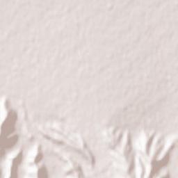 Gorgan Terrain Map