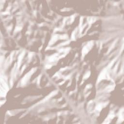Chakaneh Terrain Map