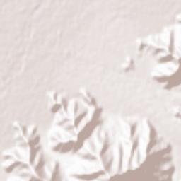 Suzaka-shi Terrain Map