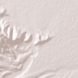 Golbahar Terrain Map