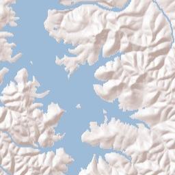4600 Missouri 165 Branson MO Terrain Map