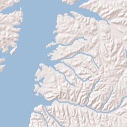 Fort Henry Tennessee Terrain Map