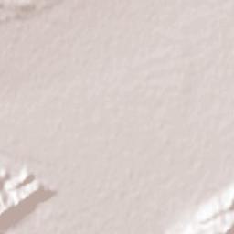 Bastam Terrain Map