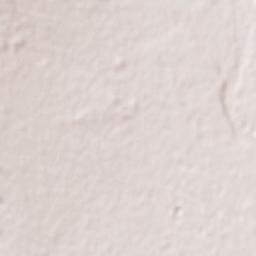 Kanekomachi Terrain Map