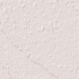 Hitachi-Naka Terrain Map