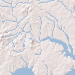 103 Dames Avenue South Gallatin TN Terrain Map