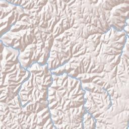 3009 Morrison Creek Rd Gainesboro Terrain Map