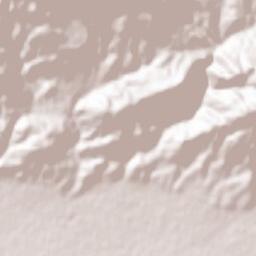 Khemis Miliana Terrain Map