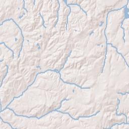 Henry Tennessee Terrain Map