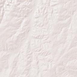 County Road V, Higgins, TX 79046 Terrain Map