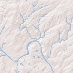 445 Williams Road, Lewisville, NC 27023 Terrain Map