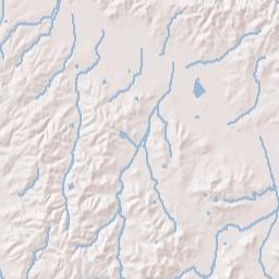 13500 Paris Street, Huntingdon, TN 38344 Terrain Map