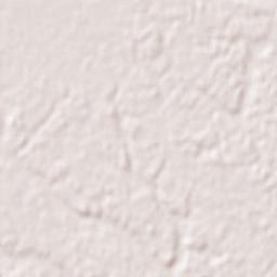 Ushiku-shi Terrain Map