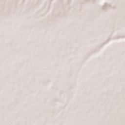 Golsar Terrain Map