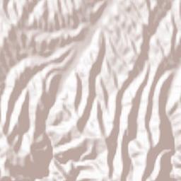 Sang-e Chārak Terrain Map