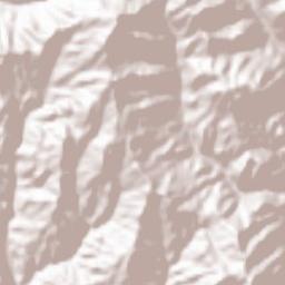 Gujō-shi Terrain Map