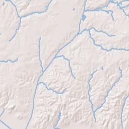 Medina Tennessee Terrain Map