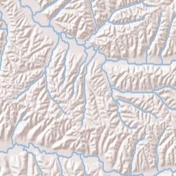 1254 Toms Creek Road, Linden, TN 37096 Terrain Map
