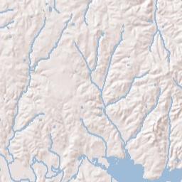 58 West Main Street, Parsons, TN 38363 Terrain Map