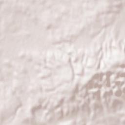 Sidi ech Chahmi Terrain Map