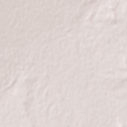 Meskiana Terrain Map